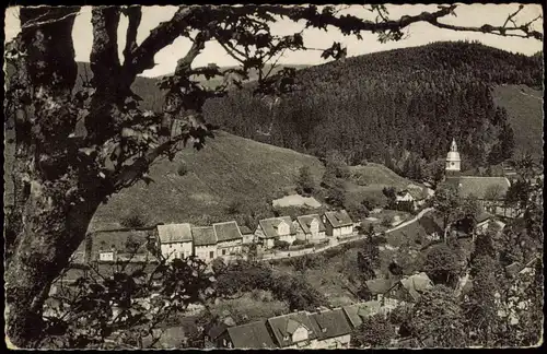 Wildemann (Innerstetal) Höhenluftkurort WILDEMANN/Oberharz 1959