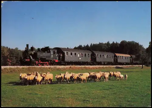 Eisenbahn & Lokomotiven: Lokalbahn-Dampflokomotive mit Tender 98 812 1987