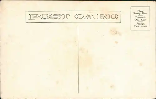 Postcard Denver JONAS BROS., TAXIDERMISTS MAIN WORKROOM BROADWAY 1920