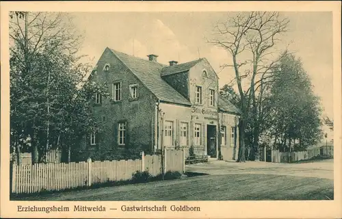 Ansichtskarte Mittweida Erziehungsheim Gastwirtschaft Goldborn 1922