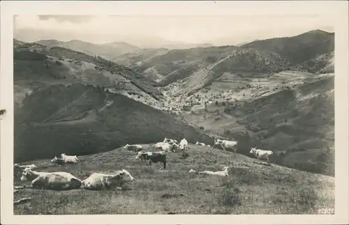 .Baden-Württemberg Belchen nach Neuenweg und Wiesental Schwarzwald 1931