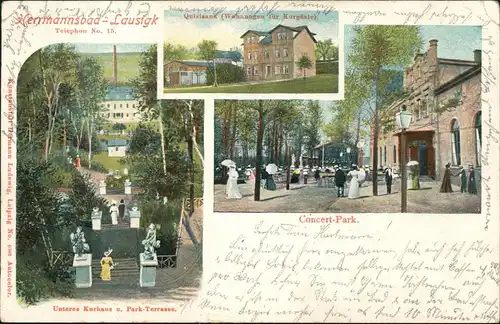 Ansichtskarte Bad Lausick Lausigk 3 Bild Anlagen und Haus Quisisana 1901
