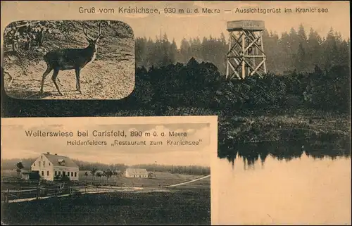 Carlsfeld-Eibenstock Weiterswiese Gasthaus, Kranichsee 3 Bild 1919
