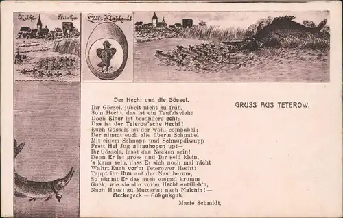 Ansichtskarte Teterow MB Künstlerkarte Der Hecht und die Gössel. 1928