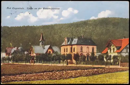 Postcard Bad Ziegenhals Głuchołazy Villen an der Waldhofstrasse 1925