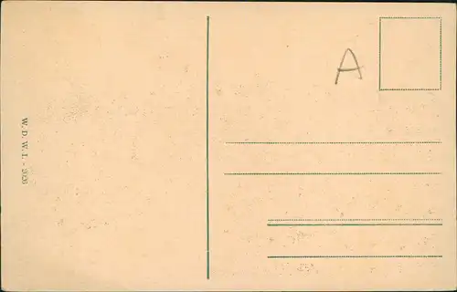 Ansichtskarte Wien Wiener Rathaus (Town Hall Building) 1910