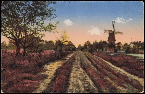 Ansichtskarte .Niedersachsen Windmühlen Windmill Lüneburger Heide 1919