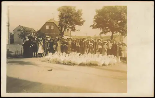 Menschen Soziales Leben Gruppenfoto Dorf Bewohner mit Gänsen 1910 Privatfoto