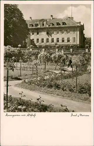 Ansichtskarte Insel Mainau-Konstanz Rosengarten mit Schloß 1953