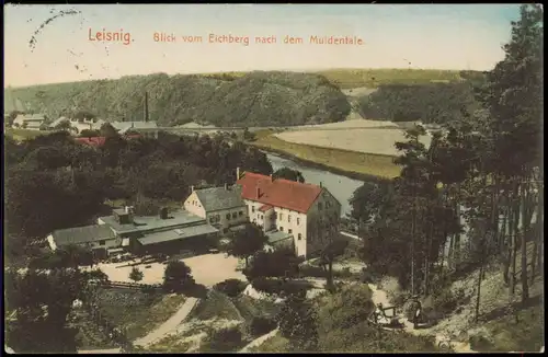 Ansichtskarte Leisnig Blick vom Eichberg nach dem Muldentale. 1915