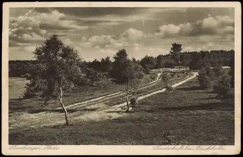 Ansichtskarte .Niedersachsen Landschaft bei Buchholz 1934