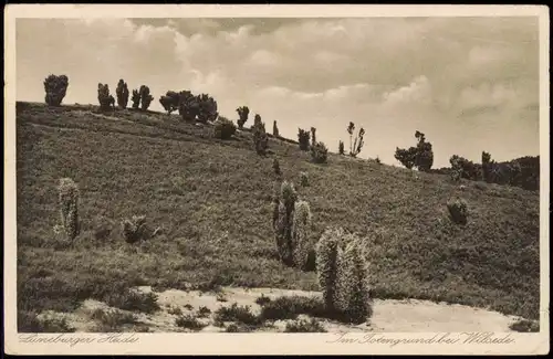 Ansichtskarte .Niedersachsen Lüneburger Heide Totengrund bei Wilsede 1928