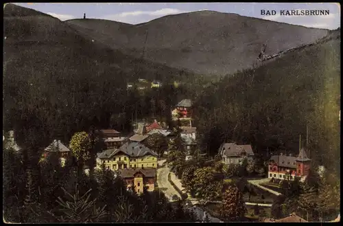 Postcard Karlsbrunn Karlova Studánka Stadtpartie 1914