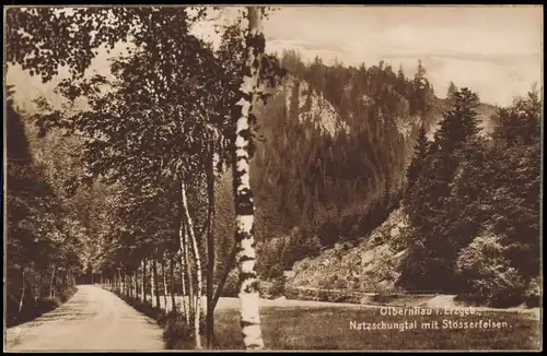 Olbernhau Natzschungtal Stösserfelsen Birkenallee Erzgebirge 1928
