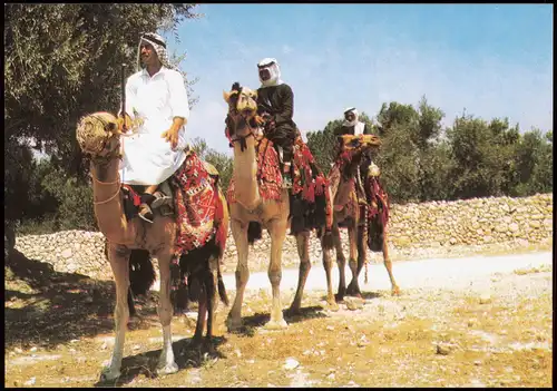 Ansichtskarte  Tiere Kamele Travellers on their Camels Kamelreiter 1975