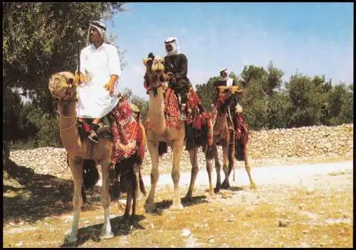 Ansichtskarte  Tiere Kamele Travellers on their Camels Kamelreiter Arabic 1975