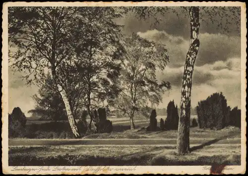 Ansichtskarte .Niedersachsen Lüneburger Heide - Birken Stimmungsbild 1928