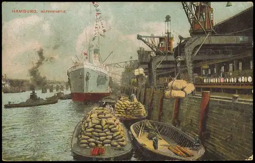 Ansichtskarte Hamburg Hafen, Dampfer - Verladekräne 1909