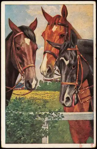 Ansichtskarte  Künstlerkarte Pferde Horse 1927