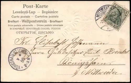 Ansichtskarte  Glückwunsch: Pfingsten Kamille Pfingstkäfer 1906 Prägekarte