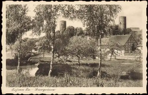 Ansichtskarte Kohren-Sahlis Burgruine, Birken und Fachwerkhaus 1931