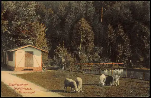 Kuhschnappel St. Egidien  Etablissement Waldfrieden 1928   Bahnpost