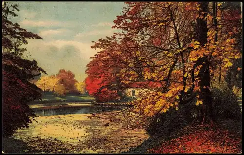 Postcard Dresden Großer Garten im Herbst Photochromie Stimmungsbild 1919