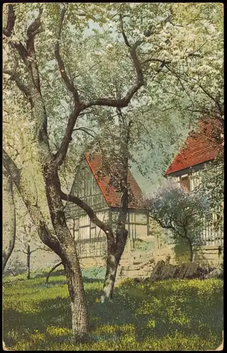 Ansichtskarte  Stimmungsbild: Frühling Bäume in Blüte Fachwerkhäuser 1909