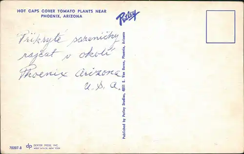 Postcard Phöenix Phoenix Hot Caps Tomato Plants - Arizona 1969