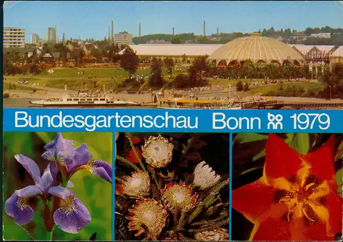 Ansichtskarte Bonn Bundesgartenschau (Mehrbildkarte) 1979