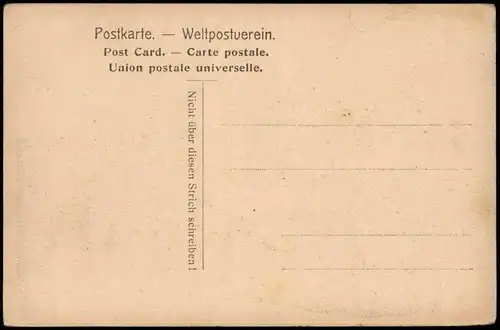 Assmannshausen am Rhein-Rüdesheim (Rhein) Stadt, Schaufelraddampfer 1906