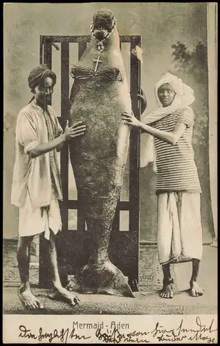 Aden Jemen عدن Mermaid-Aden, Einheimische mit "Meerjungfrau"-Fisch 1910