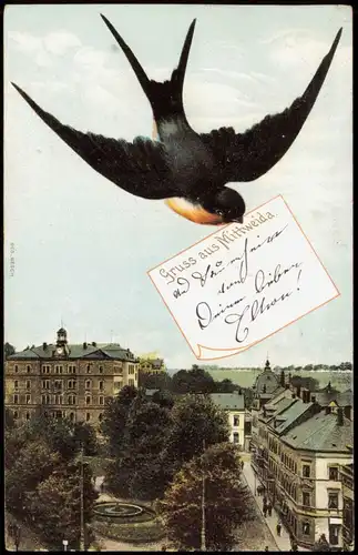 Mittweida HELIOCOLORKARTE Gruss aus Mittweida "Schwalben-Grusskarte" 1905
