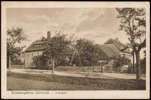 Ansichtskarte Mittweida Straßen Partie mit Erziehungsheim, Lehrgut 1928