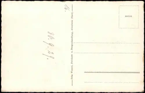 Ansichtskarte Altenbrak Panorama-Ansicht Blick aufs Oberdorf 1929