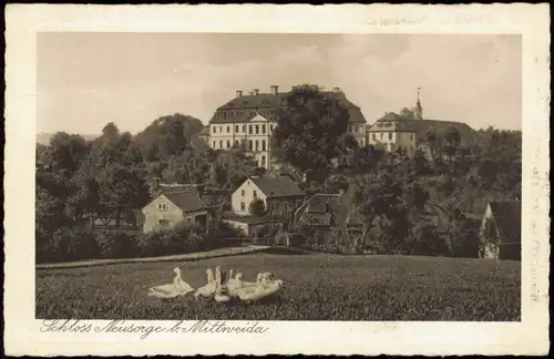 Ansichtskarte Zschöppichen-Mittweida Schloß Neusorge, Schwäne 1928