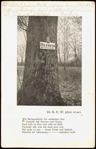Ansichtskarte Bad Mergentheim Baum mit Schild zur Herrenkur 1932