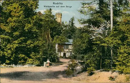 Ansichtskarte Rochlitz Umland-Ansicht Waldpartie auf dem Berge 1927