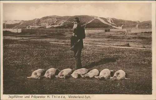Sylt Jagdführer und Präparator H. Thiede, Westerland Sylt, erlegte Tiere 1910