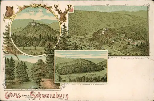 Litho AK Schwarzburg   Panorama-Ansichten, Schloss Trippstein, Hirschwiese 1900