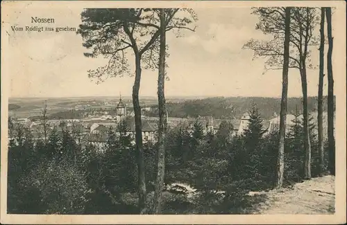 Ansichtskarte Nossen Panorama-Blick vom Rodigt 1928 Stempel NOSSEN