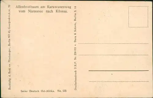 Affenbrotbaum Karawanenweg Njassase  Kilossa Deutsch-Ost-Afrika Kolonie 1910