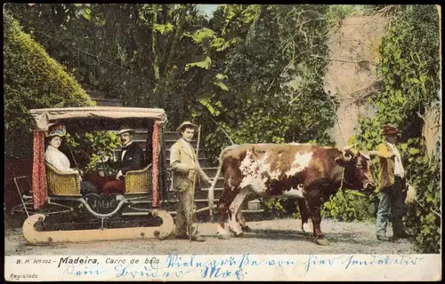 Postcard Funchal Carro de Bois - Ochsenkarren 1906  gelaufen nach BURGSTÄDT (Ankunftsstempel)