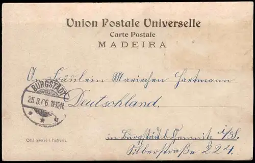 Postcard Funchal Carro de Bois - Ochsenkarren 1906  gelaufen nach BURGSTÄDT (Ankunftsstempel)