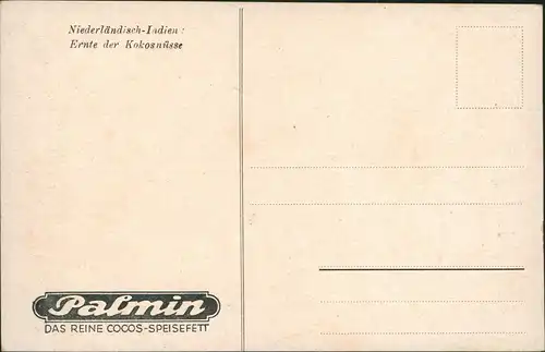 Werbe-Karte Palmin COCOS-SPEISEFETT, Niederländisch-Indien Ernte Kokosnüsse 1910