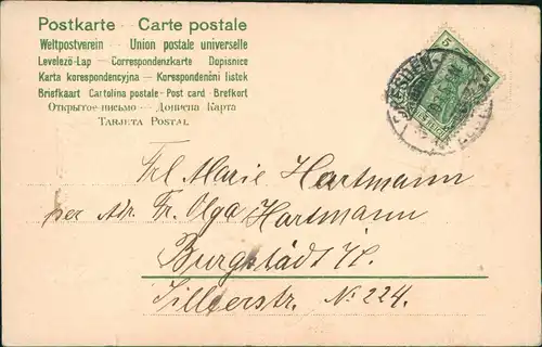 Neujahr Sylvester New Year Engel Angel auf Brieftaube 1904 Prägekarte