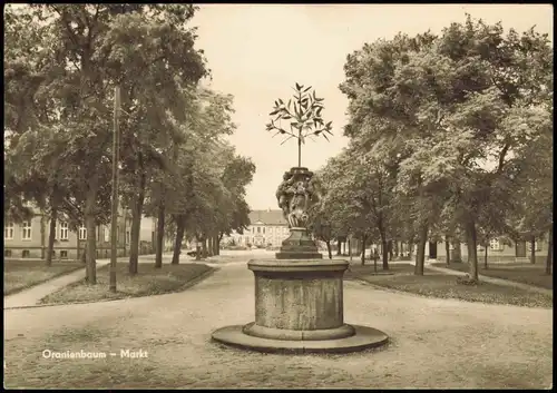 Ansichtskarte Oranienbaum-Oranienbaum-Wörlitz Markt zur DDR-Zeit 1970/1967