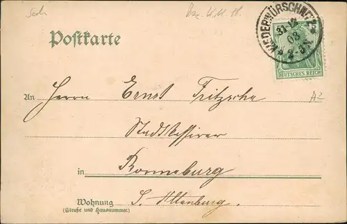 Ansichtskarte Neuwürschnitz Stadtpartie 1903