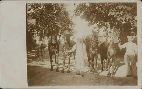 Ansichtskarte  Militaria WK1 Soldaten mit Pferden 1915