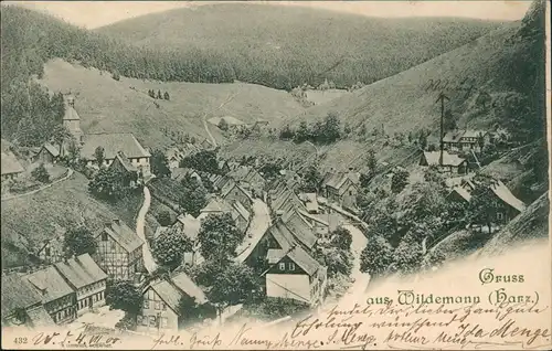 Ansichtskarte Wildemann (Innerstetal) Stadtpartie 1900